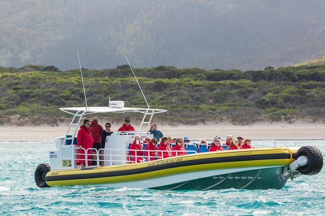 Wilsons Promontory Wilderness Cruise from Tidal River - Who will enjoy this cruise most