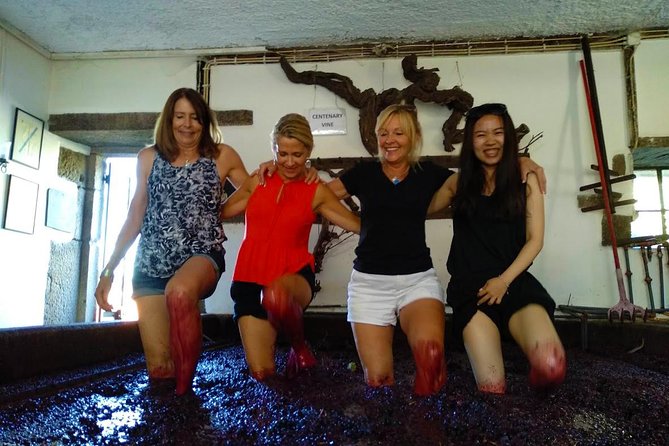 Wine Venture and Boat Trip in Douro Valley from Porto - Bagaúste and a quiet hour on the Douro River