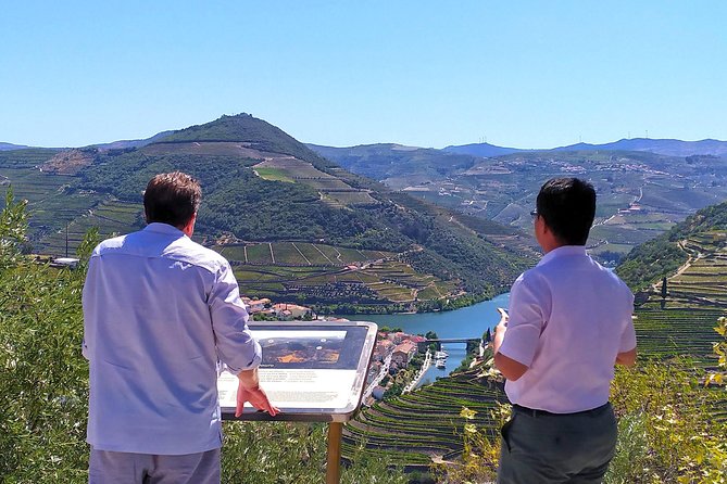 Wine Venture and Boat Trip in Douro Valley from Porto - Who should book this Douro day trip?